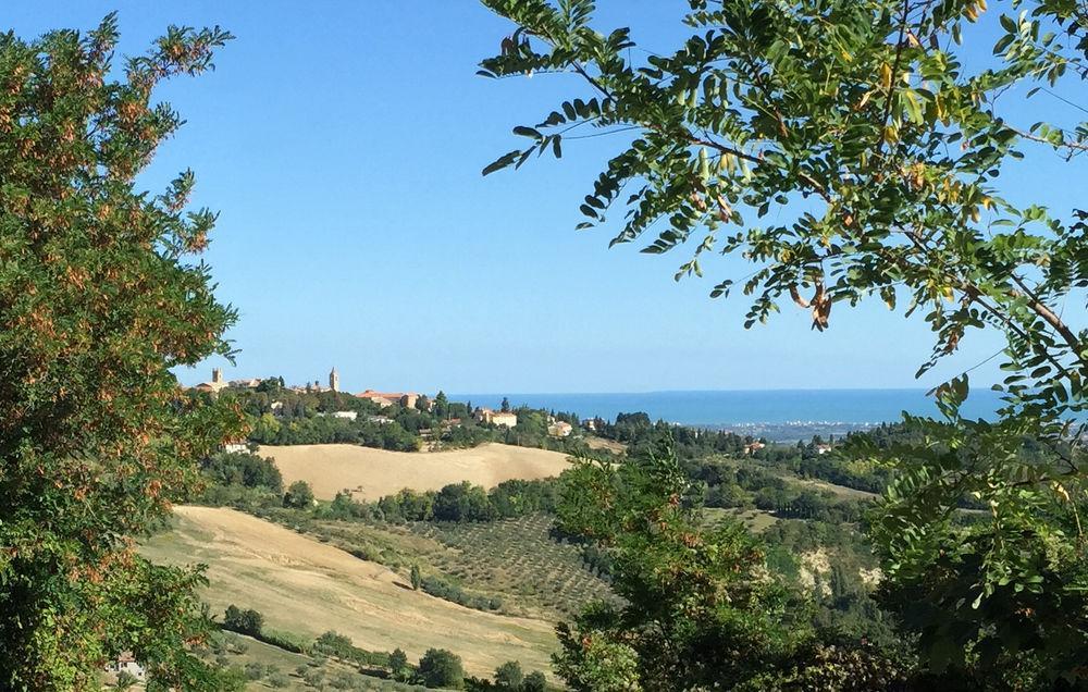 Convento Di San Francesco Mondaino Bed & Breakfast Dış mekan fotoğraf